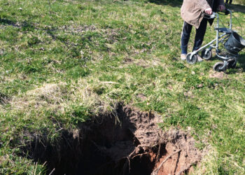 Smegduobę močiutės sodelyje pamatė anūkai