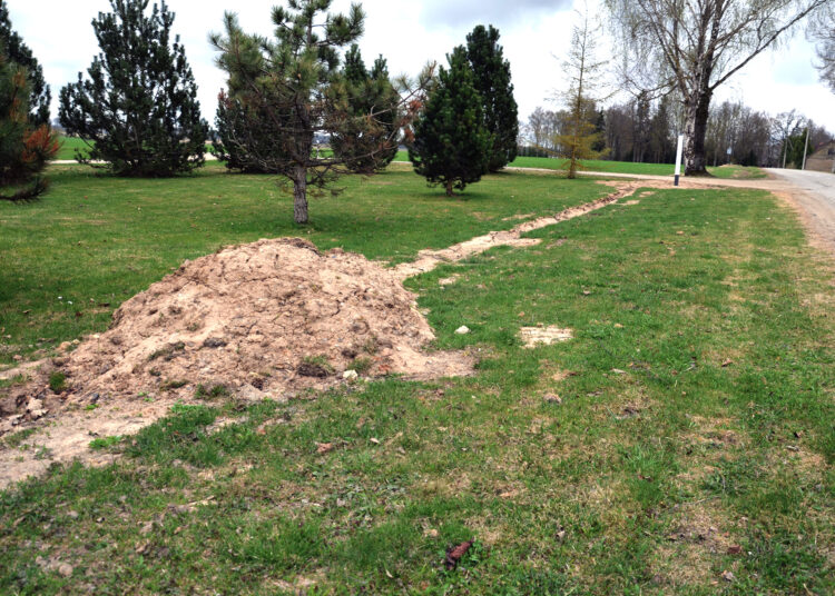 Interneto grioviai ir paslaptys Geidžiūnuose