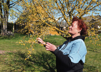 Gyvenimas, kuriam neleidžia sustoti