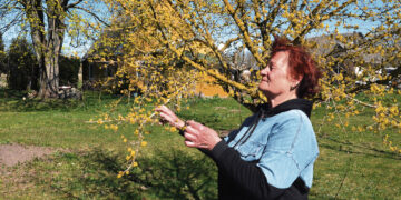 Gyvenimas, kuriam neleidžia sustoti