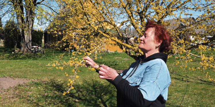 Gyvenimas, kuriam neleidžia sustoti