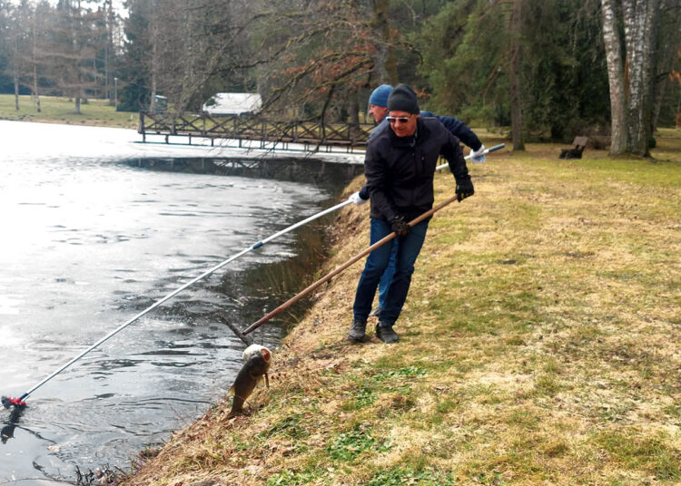 Šaltą žiemą žuvys tvenkinyje neišgyveno