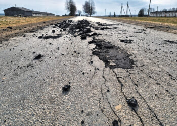 Asfalto dangą iškilnojo pašalas