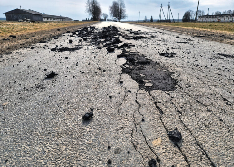 Asfalto dangą iškilnojo pašalas