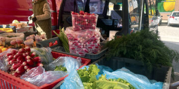 Prekyboje – pavasarinis derlius ir pirmieji agurkėliai