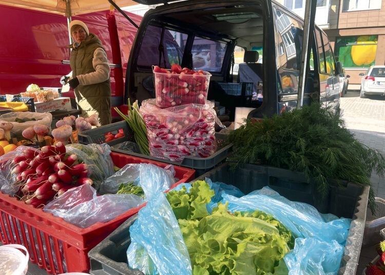 Prekyboje – pavasarinis derlius ir pirmieji agurkėliai