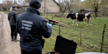 Užmigdyti karvės valdininkai negali