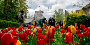 Artėja ypatingas festivalis: Burbiškio dvaro Tulpių žydėjimošventė vyks 25-ą kartą