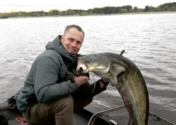 Naujas Biržų telkinių rekordas – per 21 kg sveriantis šamas