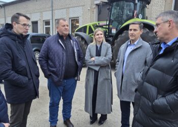 Žemės ūkio kooperatyvai: kodėl verta jungtis, kaip įsteigti ir sėkmingai valdyti?