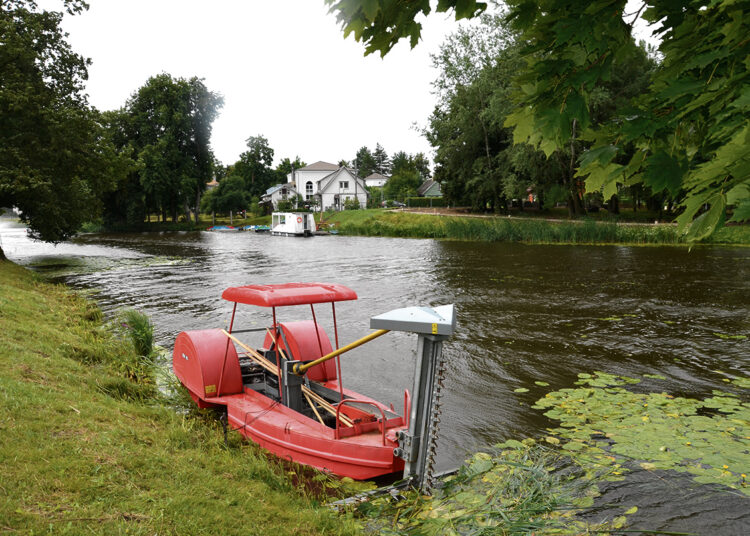 Vieniems rugiapjūtė, kitiems nendriapjūtė