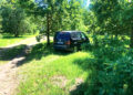 Automobiliais – per ąžuolyną