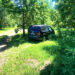 Automobiliais – per ąžuolyną