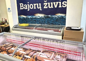 „Bajorų žuvis“ – ne tik bajorams