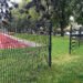 Stadiono gelbėjimo planas: taisyklės, kameros ir bendruomeniškumas